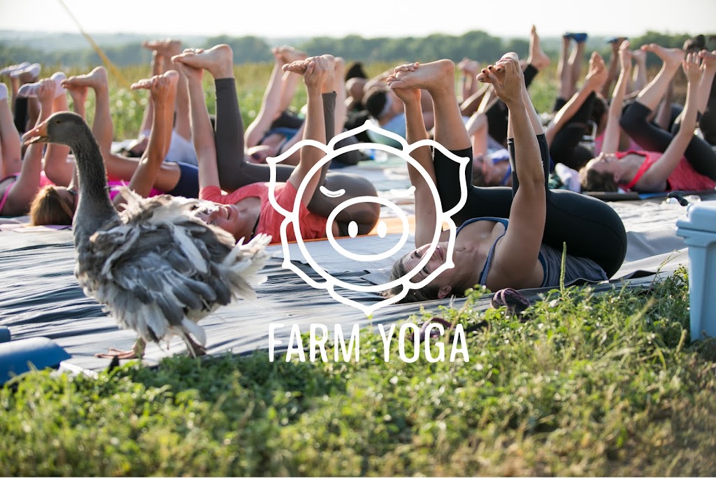 Farm Yoga | 290 Co Rd 386, San Antonio, TX 78253, USA | Phone: (210) 601-6062