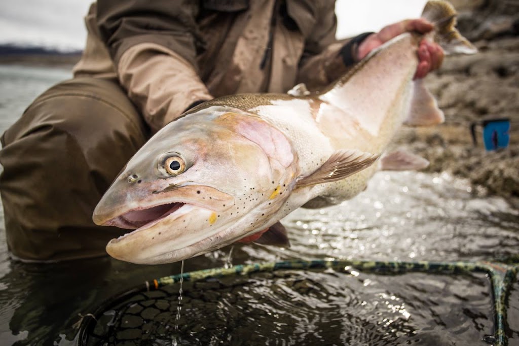 Pyramid Fly Company | 30605 Sutcliffe Dr, Reno, NV 89510, USA | Phone: (877) 732-3597