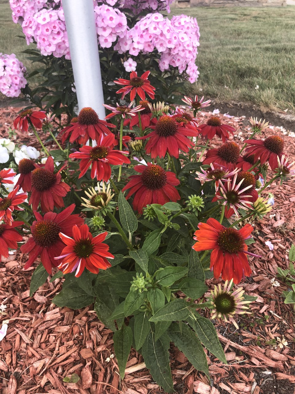 The Memorial Chapel Funeral Home & Cremation Services | 1521 Washington St, Waukegan, IL 60085, USA | Phone: (847) 623-3730