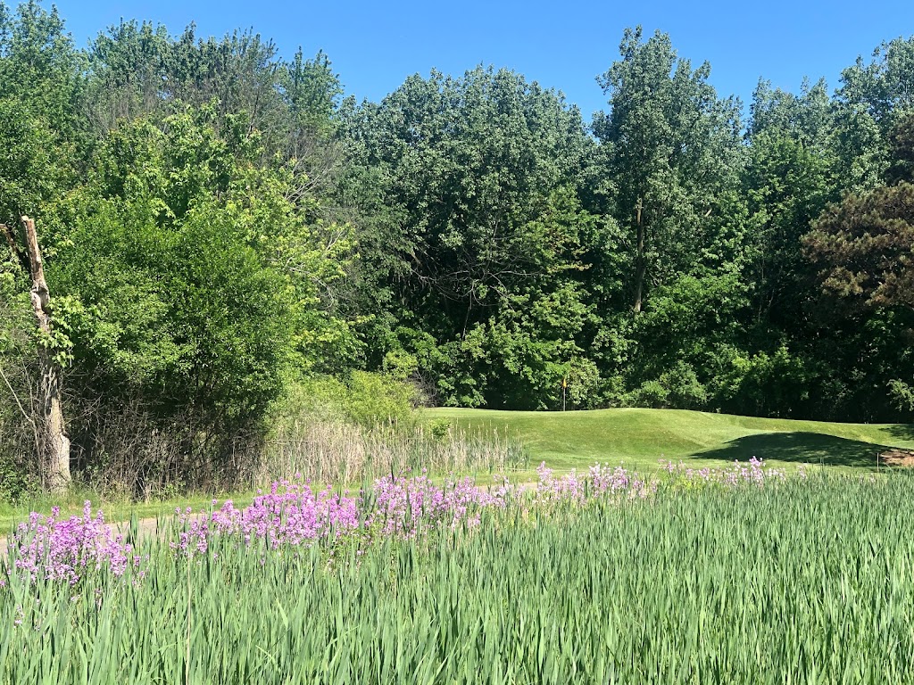 Pine Trace Golf Club | 3600 Pine Trace Blvd, Rochester Hills, MI 48309, USA | Phone: (248) 852-7100