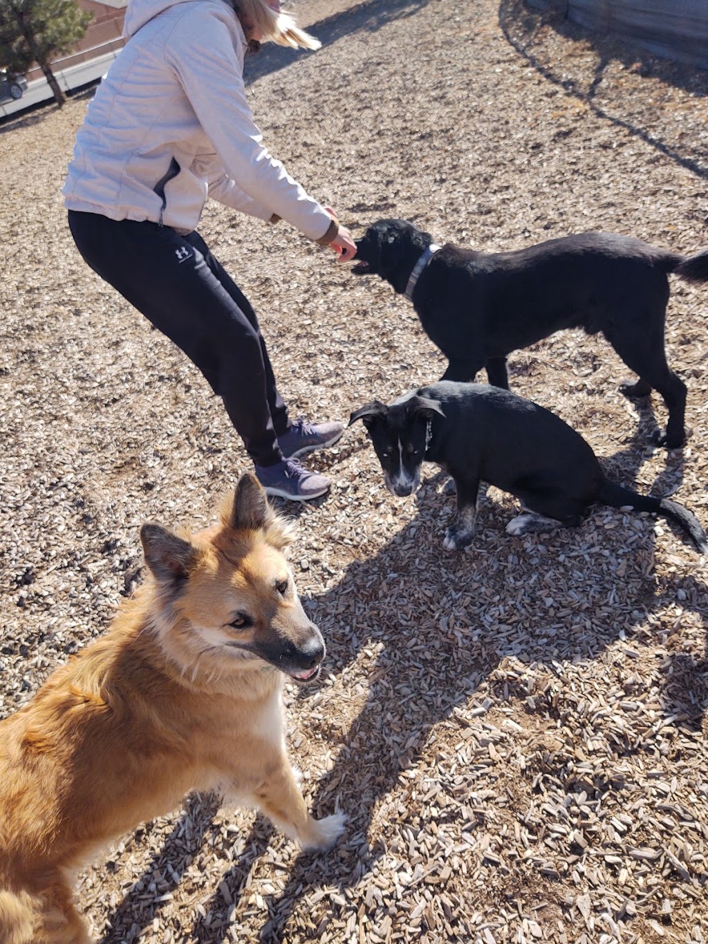 Camino De Los Montoyas Park | 3701 Cam De Los Montoyas, Rio Rancho, NM 87144, USA | Phone: (505) 891-5015