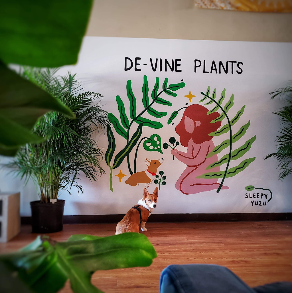 De-Vine Plants | 6131 Anderson Rd Suite K, Tampa, FL 33634, USA | Phone: (813) 433-0990