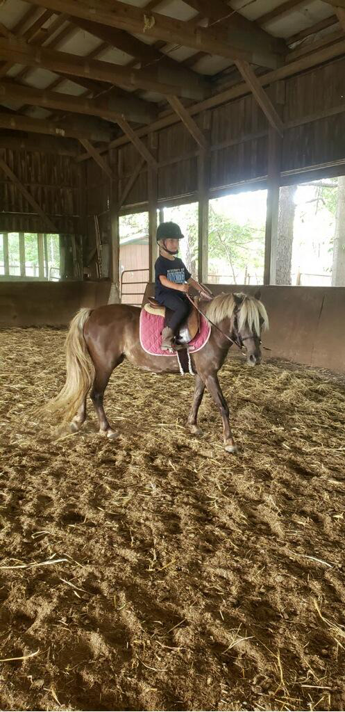 Grace Lee Farm Horse Riding Academy and Day Camp Apex | 2437 Olive Chapel Rd, Apex, NC 27502, USA | Phone: (919) 413-5170