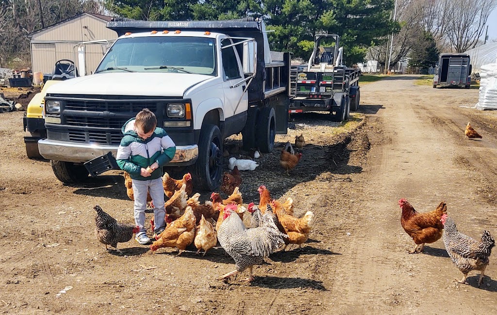 Anthony Petitti Organic Greenhouse | 5828 Columbus Rd NE, Louisville, OH 44641, USA | Phone: (330) 455-5997