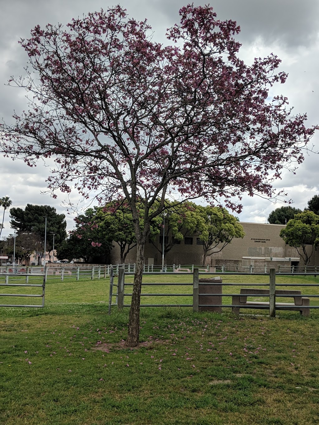 Jim Gilliam Park | 4000 S La Brea Ave, Los Angeles, CA 90008, USA | Phone: (323) 291-5928