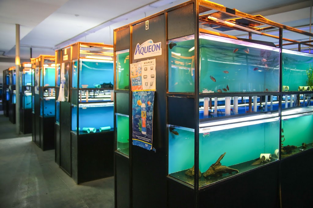 Exotic Aquarium | 6643 Franklin Blvd, Sacramento, CA 95823, USA | Phone: (916) 422-7266