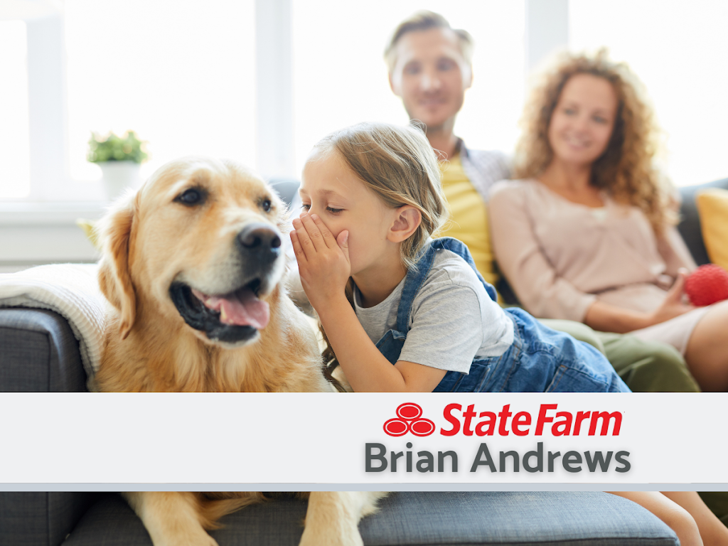 Brian Andrews State Farm Insurance | 80 Sowell Rd, McDonough, GA 30252, USA | Phone: (770) 288-4900