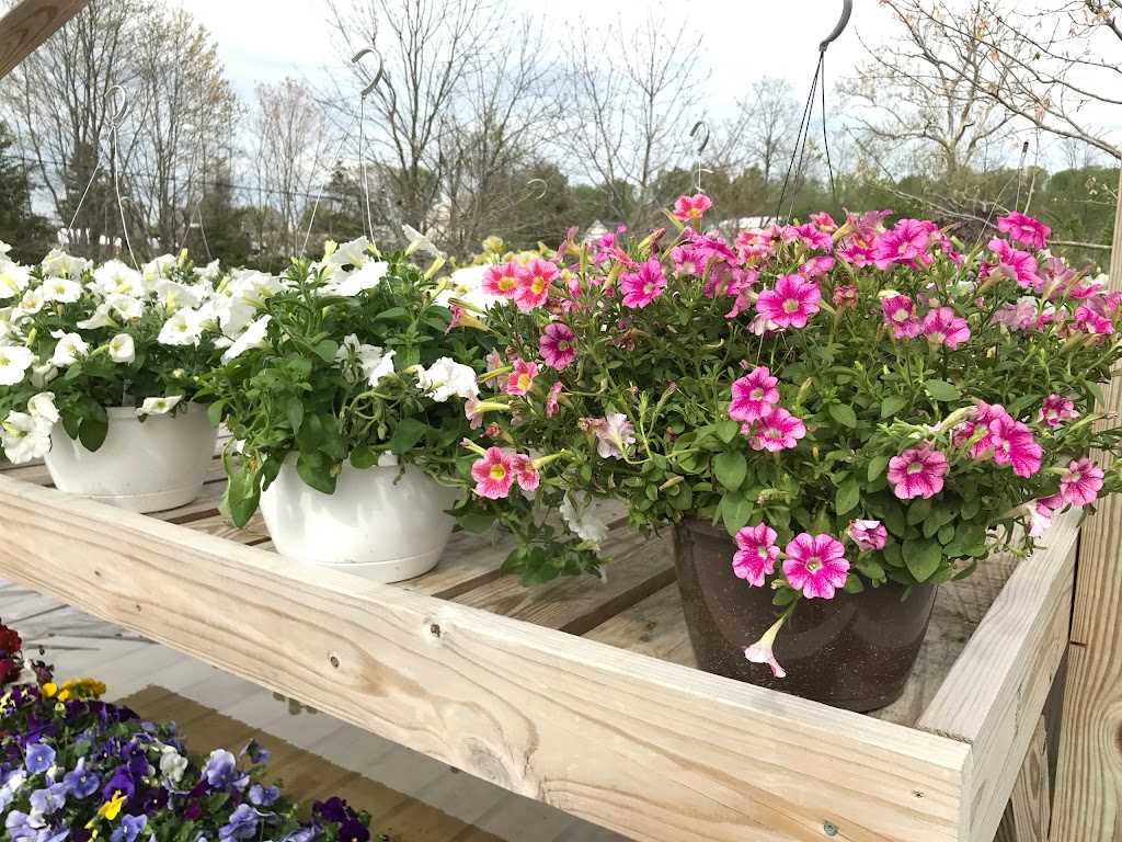 Carbajals Garden Center | 1655 Harrodsburg Rd, Lawrenceburg, KY 40342, USA | Phone: (859) 312-9142