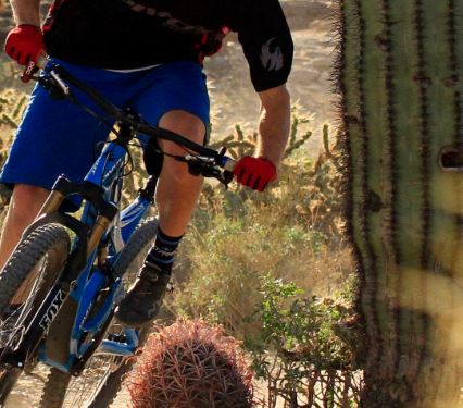 Black Mountain Adventures | 37611 N Cave Creek Rd APT D, Cave Creek, AZ 85331, USA | Phone: (480) 620-6170