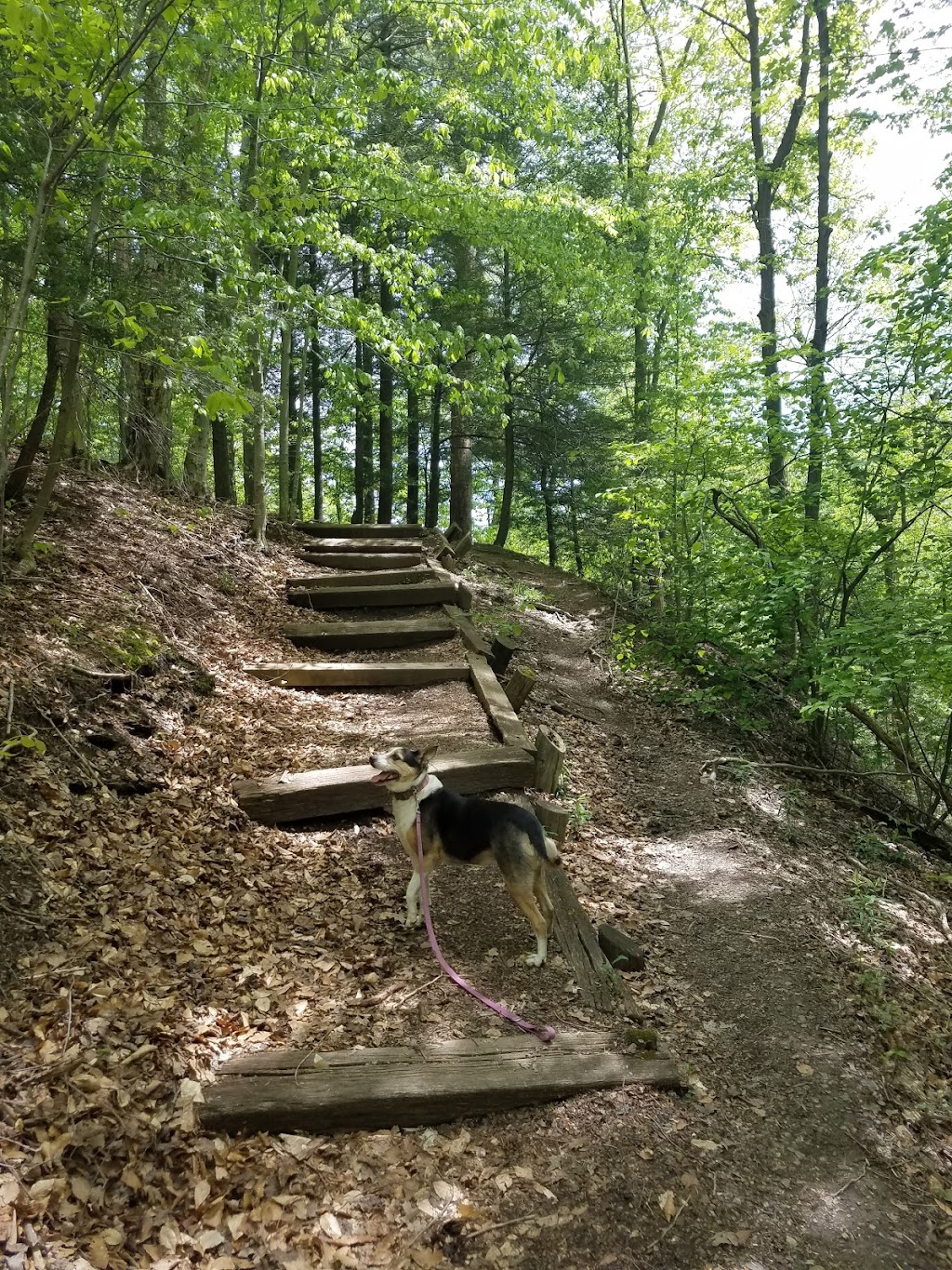 Wilson Mills Trailhead | Cleveland Metro Park Dr, Gates Mills, OH 44040, USA | Phone: (440) 473-3370