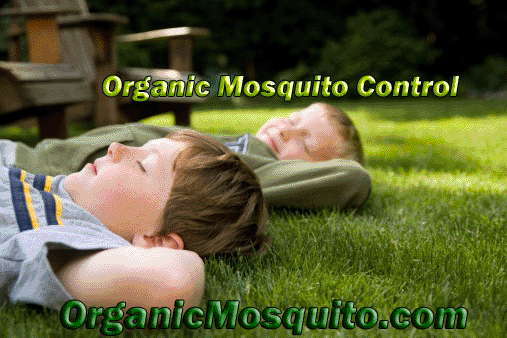 Organic Mosquito Services | 1457 Kelly Rd STE 124, Apex, NC 27502, USA | Phone: (919) 371-8857