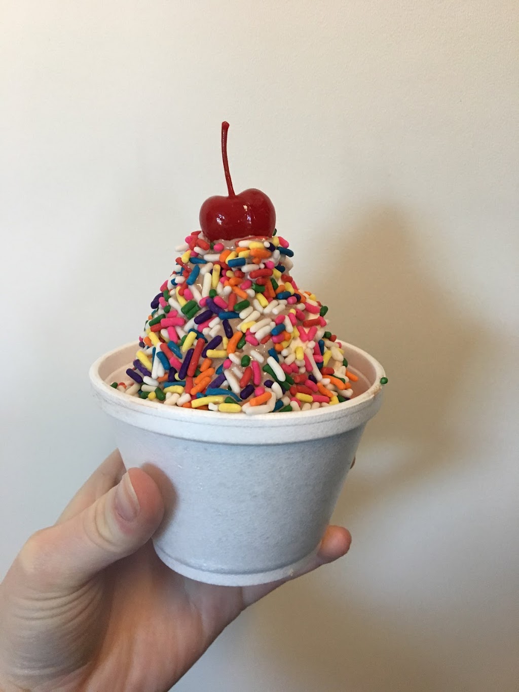 The Village Scoop Ice Cream | 318 Central Ave, Lancaster, NY 14086, USA | Phone: (716) 473-5690