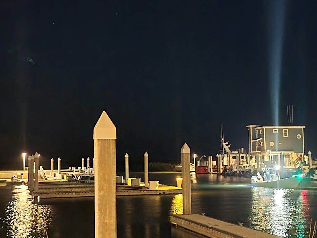 University of Texas, Marine Science Institute | 750 Channel View Dr, Port Aransas, TX 78373, USA | Phone: (361) 749-6711