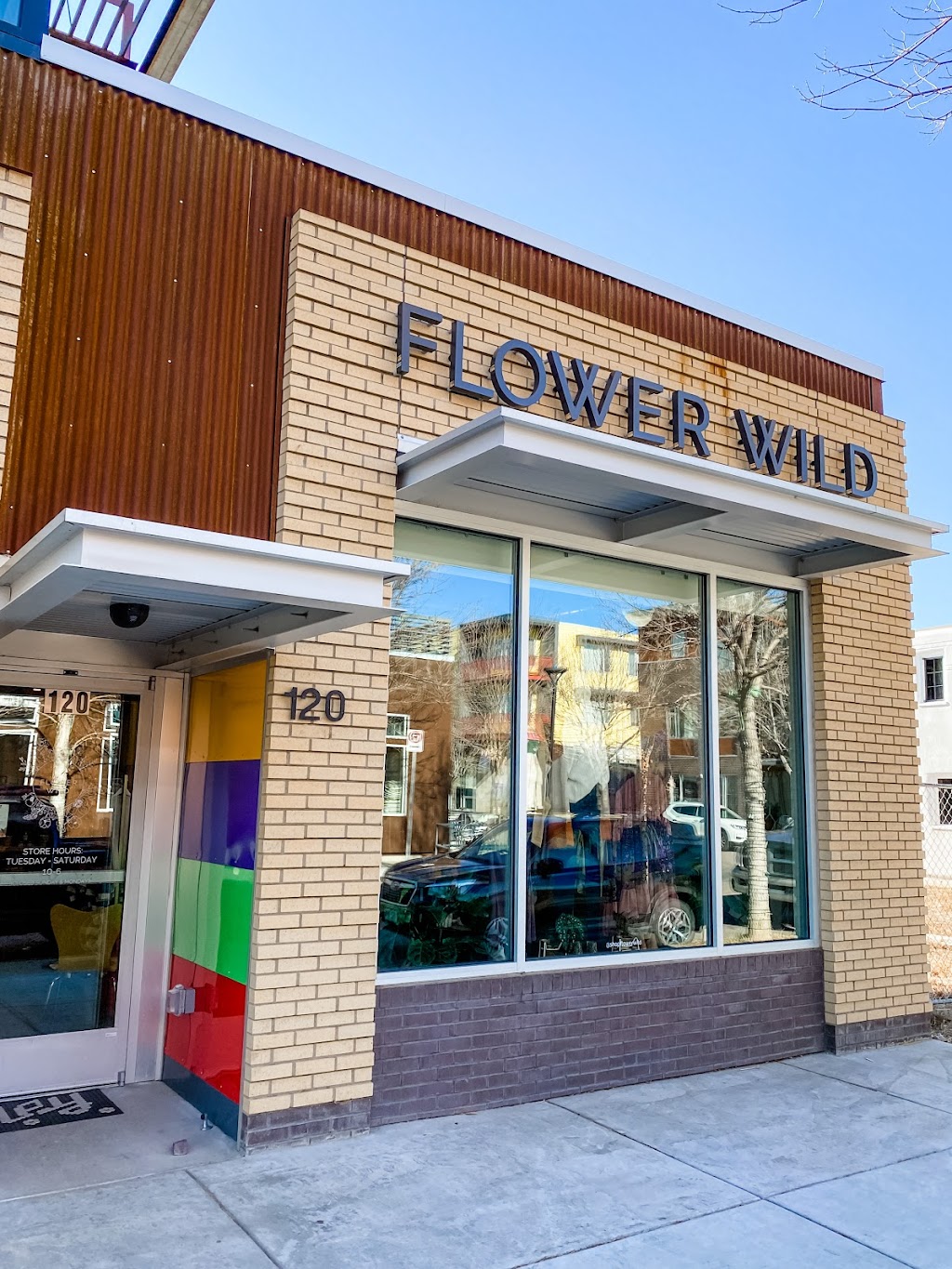 Flower Wild (Longmont) | 360 Main St, Longmont, CO 80501, USA | Phone: (720) 442-8735