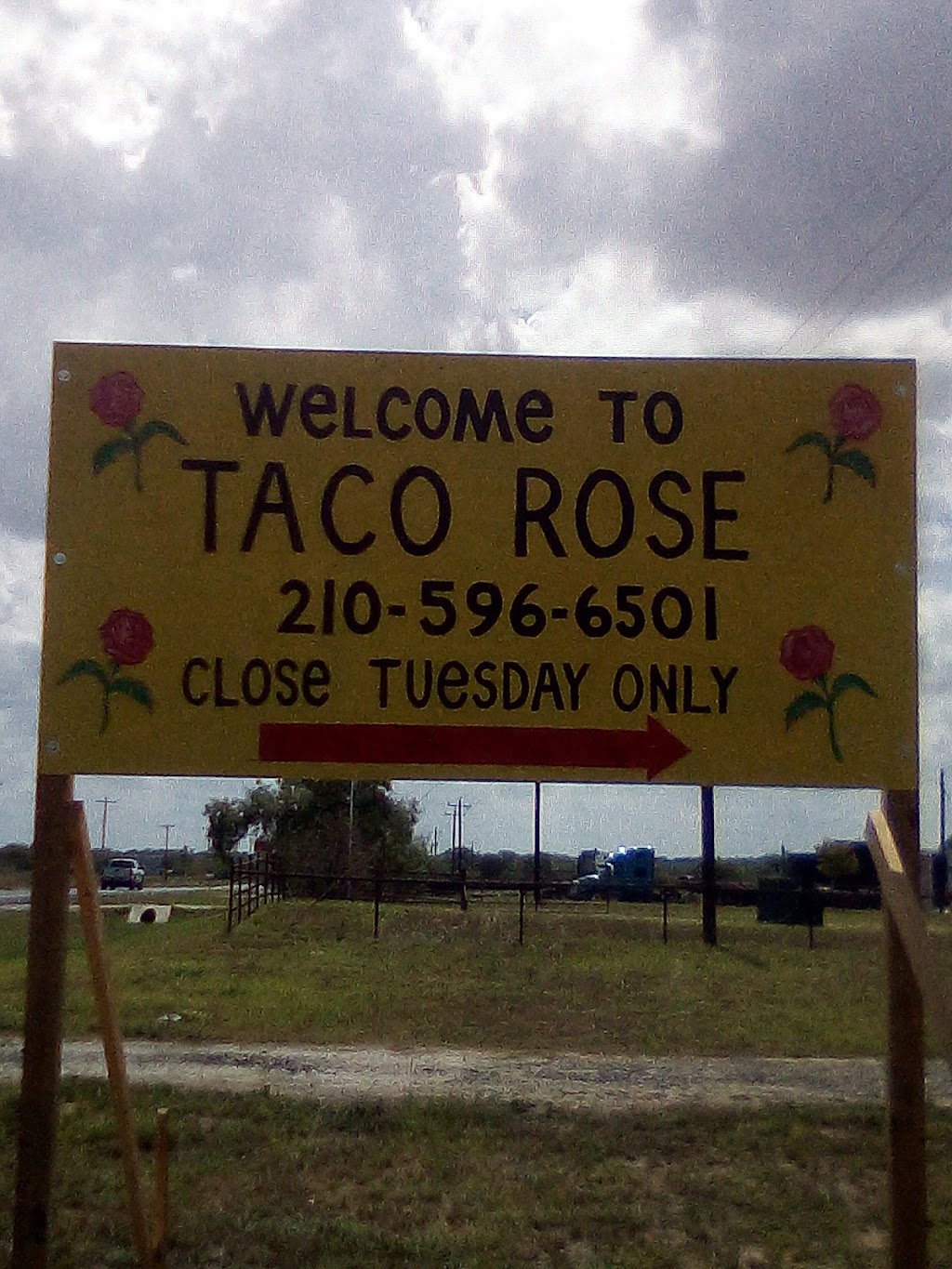 Taco Rose | 2194 TX-173, Devine, TX 78016, USA | Phone: (210) 596-6501