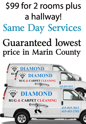 Marin Rug Cleaning Services | 2384 Las Gallinas Ave, San Rafael, CA 94903, USA | Phone: (415) 819-3013