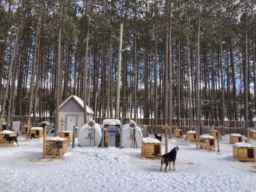 Mont-Tremblant Dogsledding -Traîneau à Chiens Tremblant | 121 Chem. de lAlbatros, Mont-Tremblant, QC J8E 1S1, Canada | Phone: (819) 681-5519