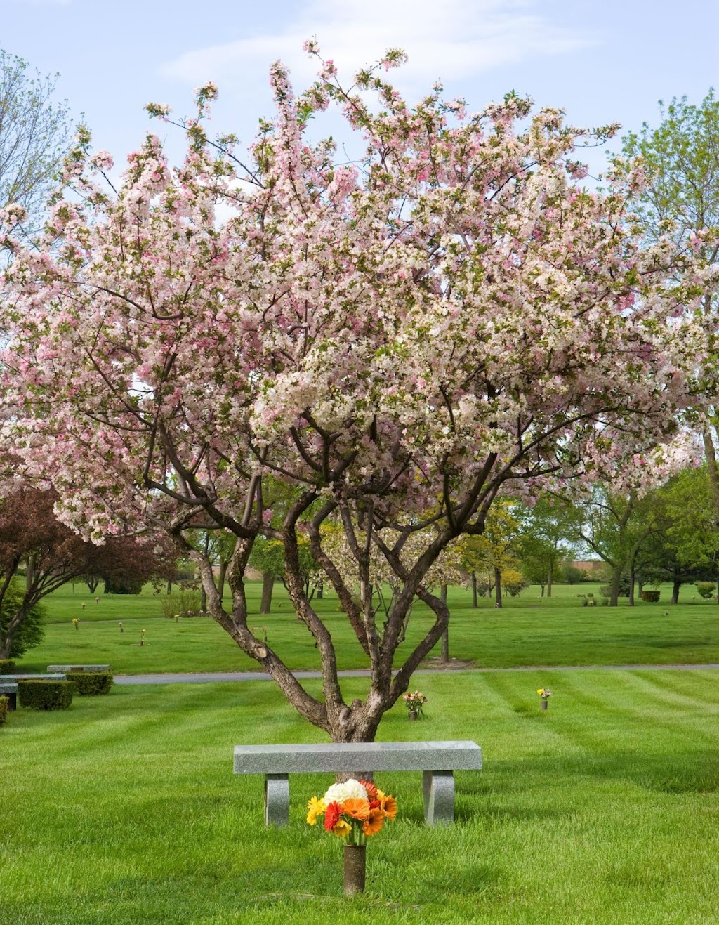 Shalom Memorial Park Jewish Funeral Home | 1700 W Rand Rd, Arlington Heights, IL 60004, USA | Phone: (847) 255-3520