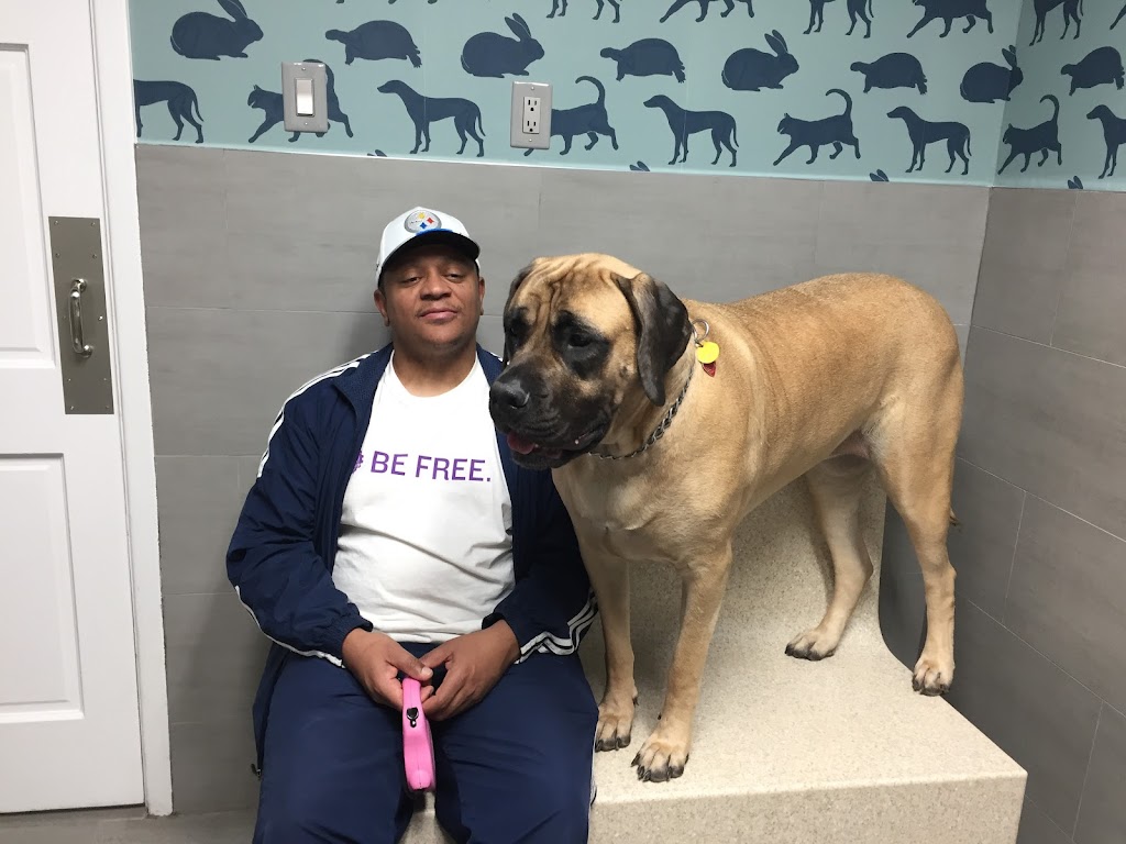 Prince Georges Animal Hospital | 7440 Annapolis Rd, Hyattsville, MD 20784, USA | Phone: (301) 577-9400