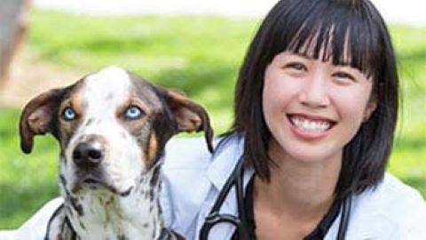 All Bay Animal Hospital | 1739 Willow Pass Rd, Concord, CA 94520, USA | Phone: (925) 687-7346