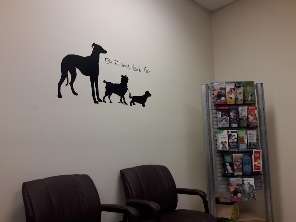 Woodhaven Animal Hospital | 20376 Van Horn Rd, Woodhaven, MI 48183, USA | Phone: (734) 561-3795