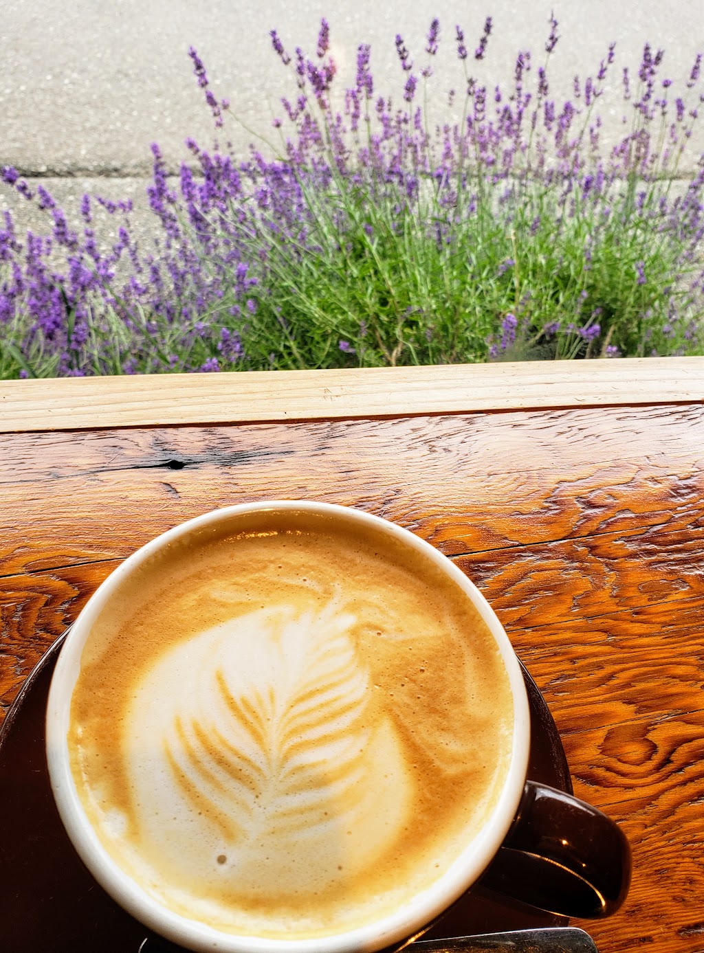 The Coffee Oasis Iverson Café | 780 NE Iverson St, Poulsbo, WA 98370 | Phone: (360) 598-2031