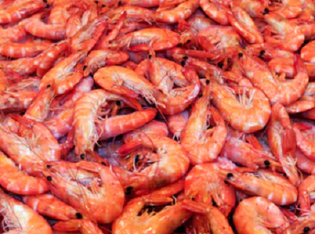 LouisiAndys Seafood Drive-Thru | 20299 LA-42, Livingston, LA 70754, USA | Phone: (225) 454-4882