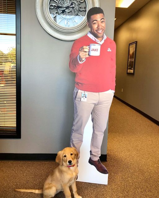 Mark Royalty State Farm Insurance Agent, 873 SW Lemans Ln, Lee's Summit, MO 64082