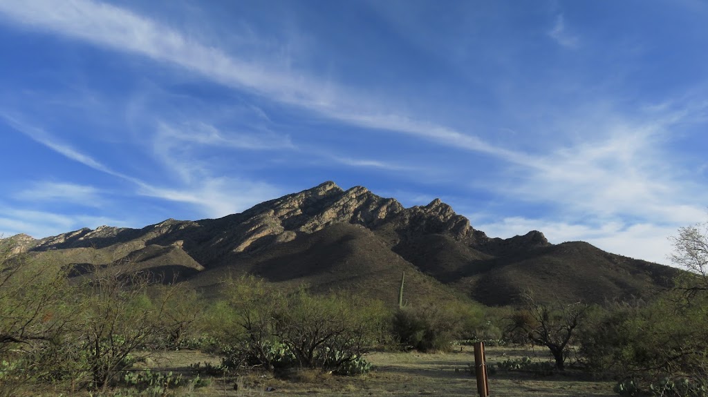 Coyote Mountains Wilderness Area | Tucson, AZ 85735, USA | Phone: (520) 258-7200