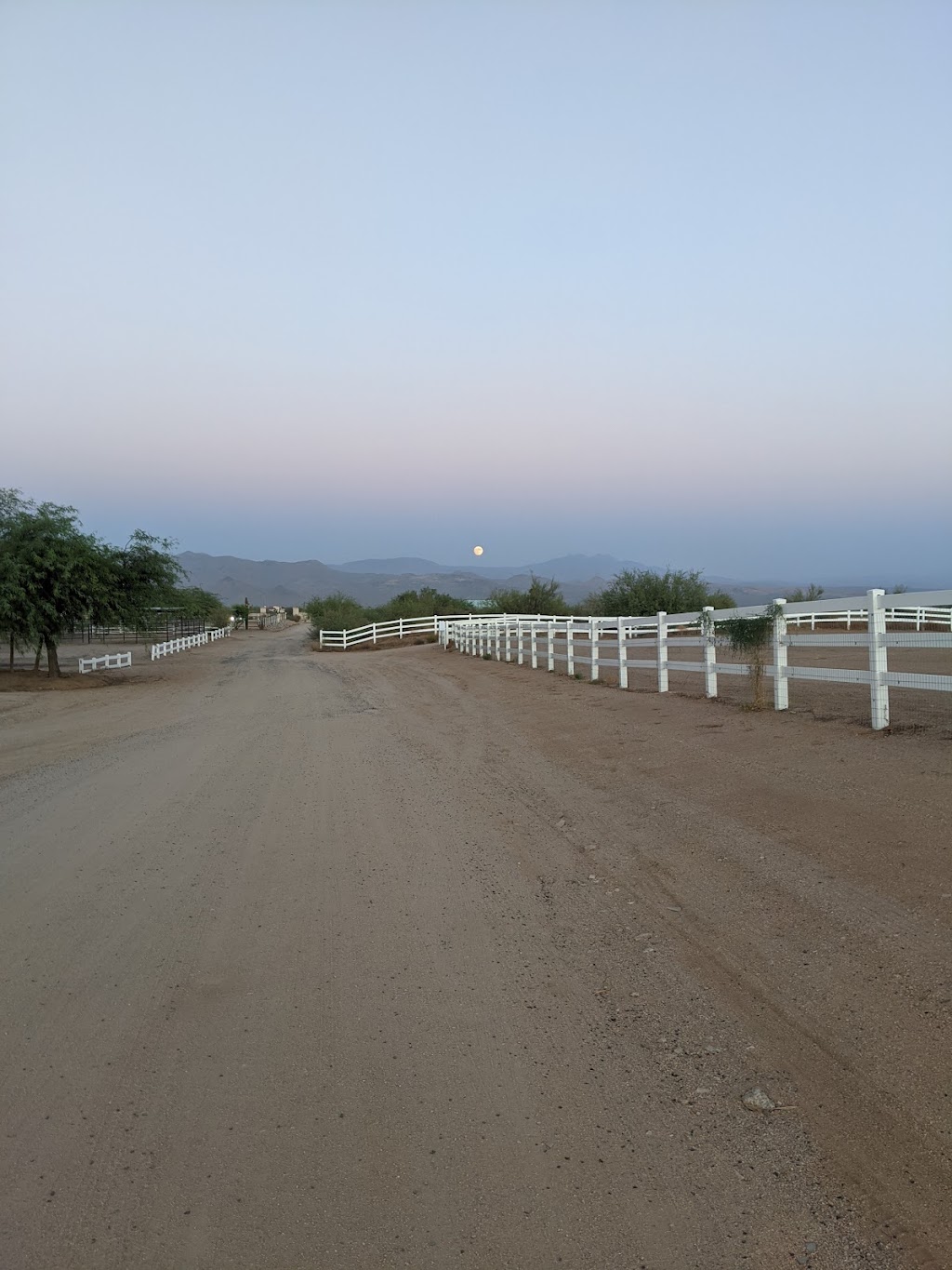 Samantha Walker Performance Horses (SWPH) | 15030 E Chaparosa Way, Scottsdale, AZ 85262 | Phone: (480) 577-1165