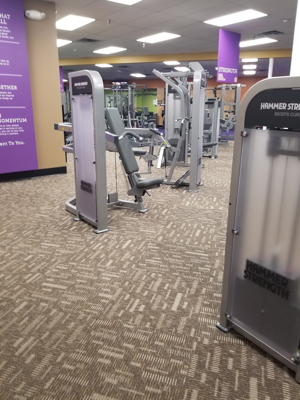 Anytime Fitness | 23585-23591, US-23, Circleville, OH 43113, USA | Phone: (740) 207-5217