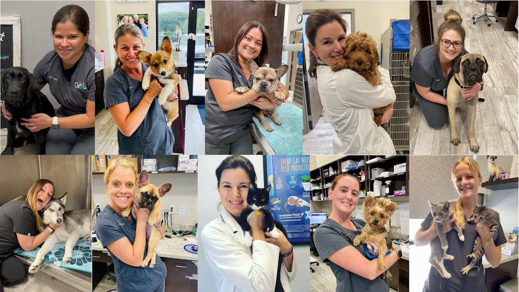 Chain of Lakes Animal Clinic | 14387 Bridgewater Crossings Blvd #100, Windermere, FL 34786, USA | Phone: (407) 554-4304