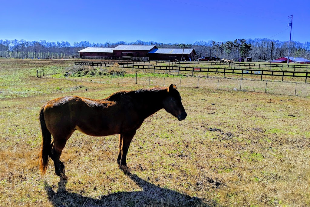 Bearfoot Ranch | 12976 Cumming Hwy, Canton, GA 30115, USA | Phone: (678) 805-7433