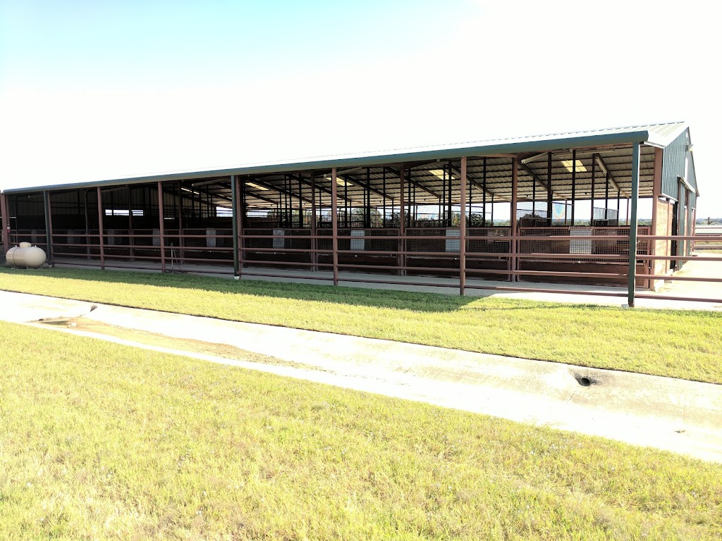 Equine Sports Medicine & Surgery | 2991 Interstate 20 Frontage Rd, Weatherford, TX 76087, USA | Phone: (817) 596-2829