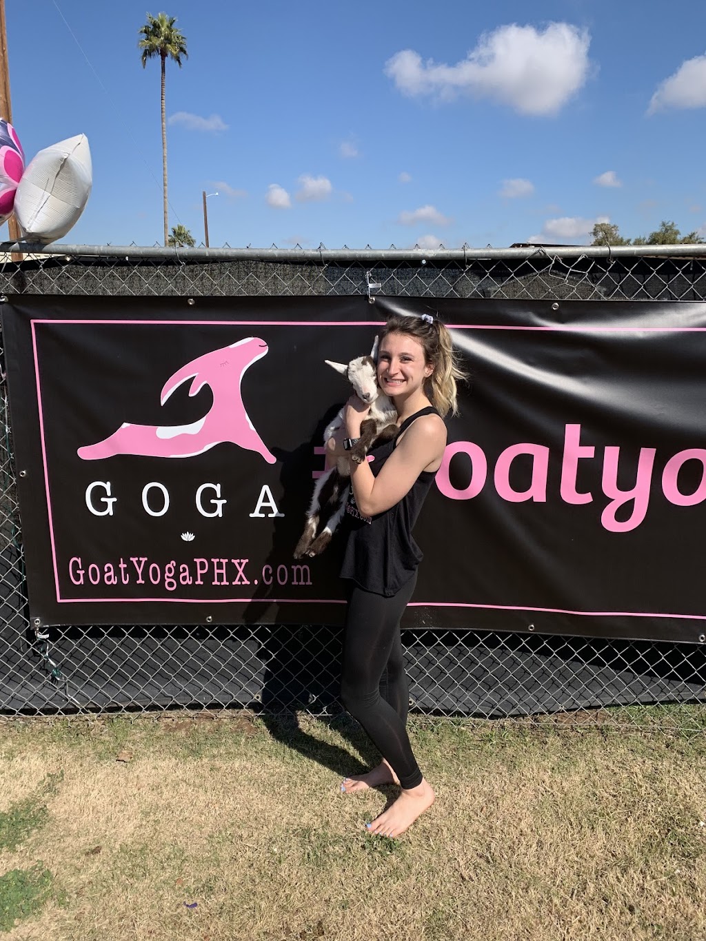 Goat Yoga PHX | 2209 N 99th Ave, Phoenix, AZ 85037, USA | Phone: (623) 628-6866