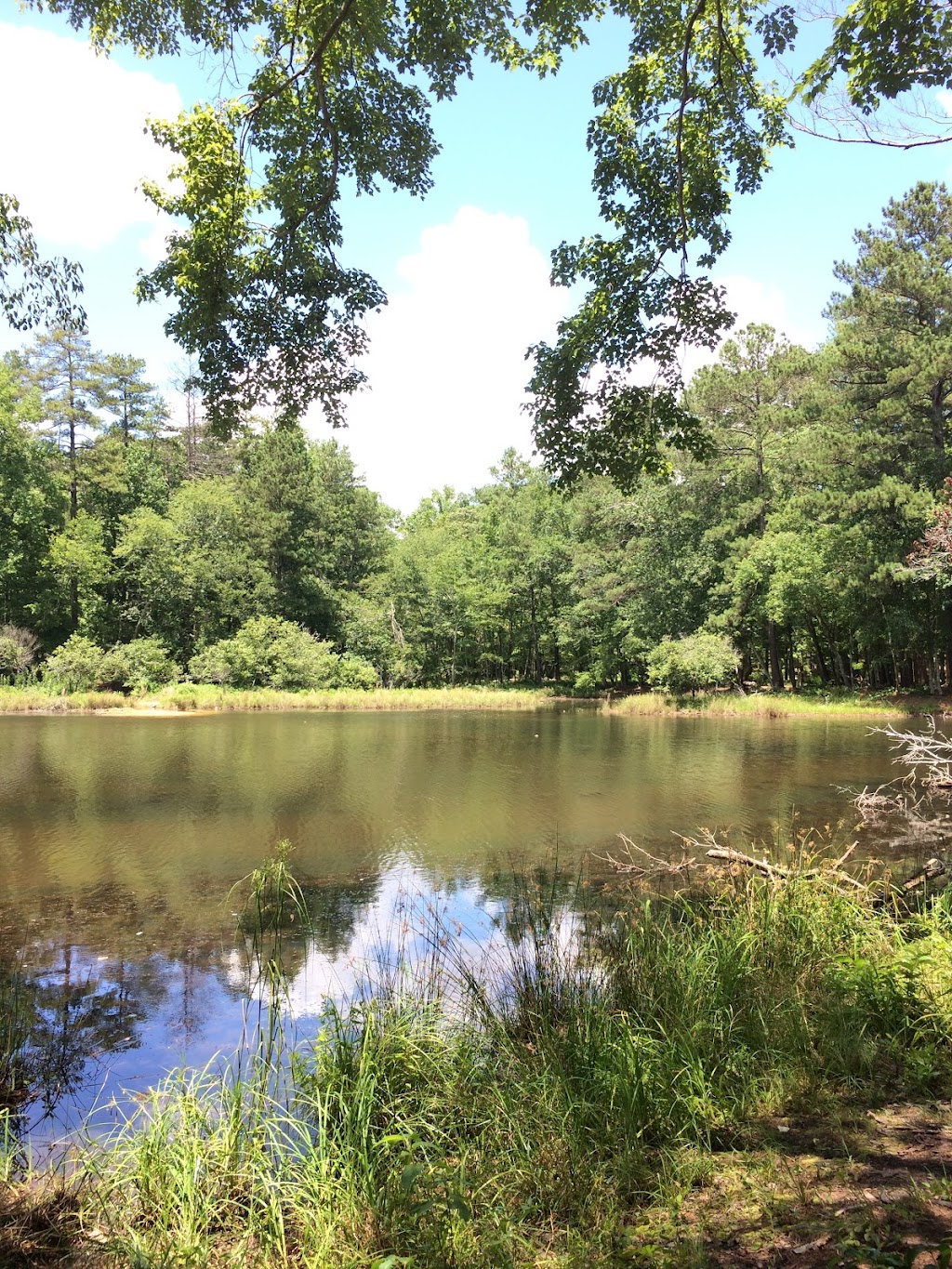 Davidson-Arabia Mountain Nature Preserve | 3787 Klondike Rd, Stonecrest, GA 30038, USA | Phone: (770) 492-5220