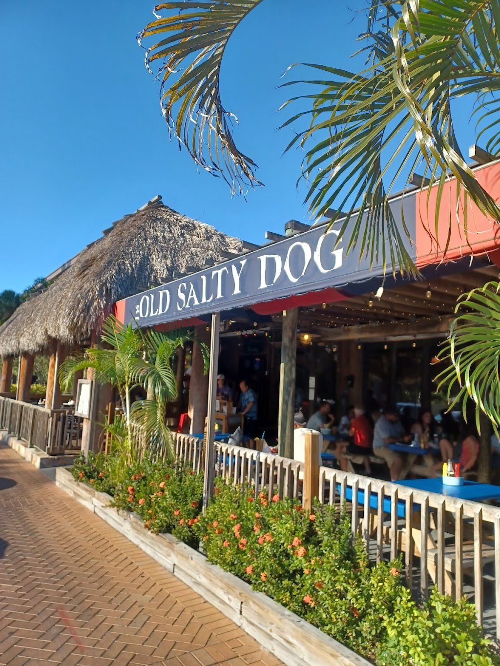 The Old Salty Dog Siesta Key | 5023 Ocean Blvd, Sarasota, FL 34242, USA | Phone: (941) 349-0158