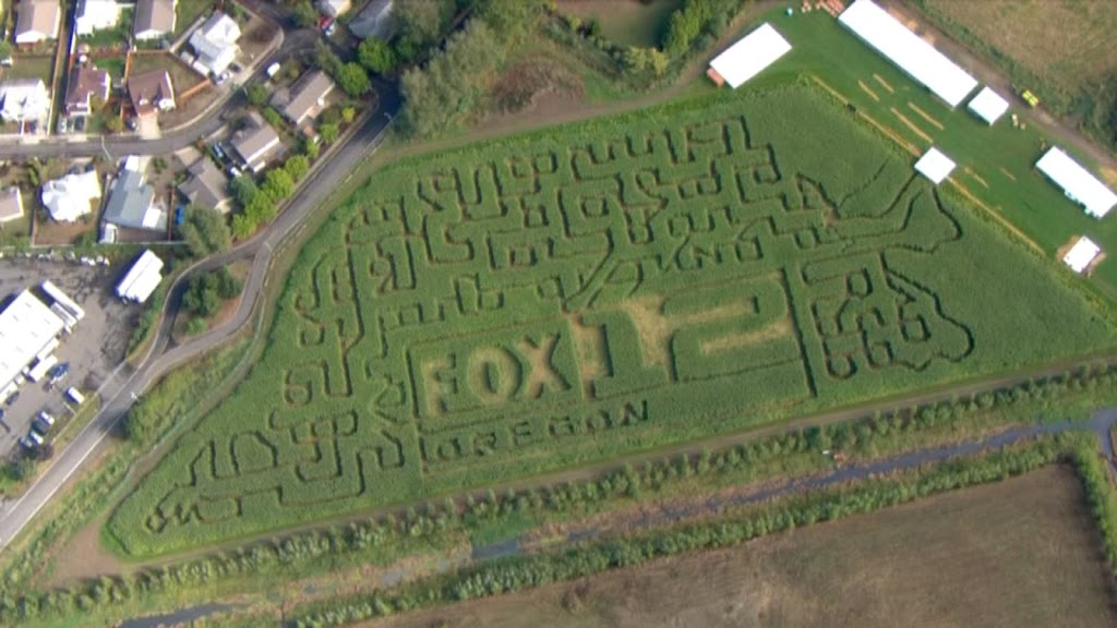 Fazio Farms Corn Maze | 9028 NE 13th Ave, Portland, OR 97211, USA | Phone: (503) 289-2020