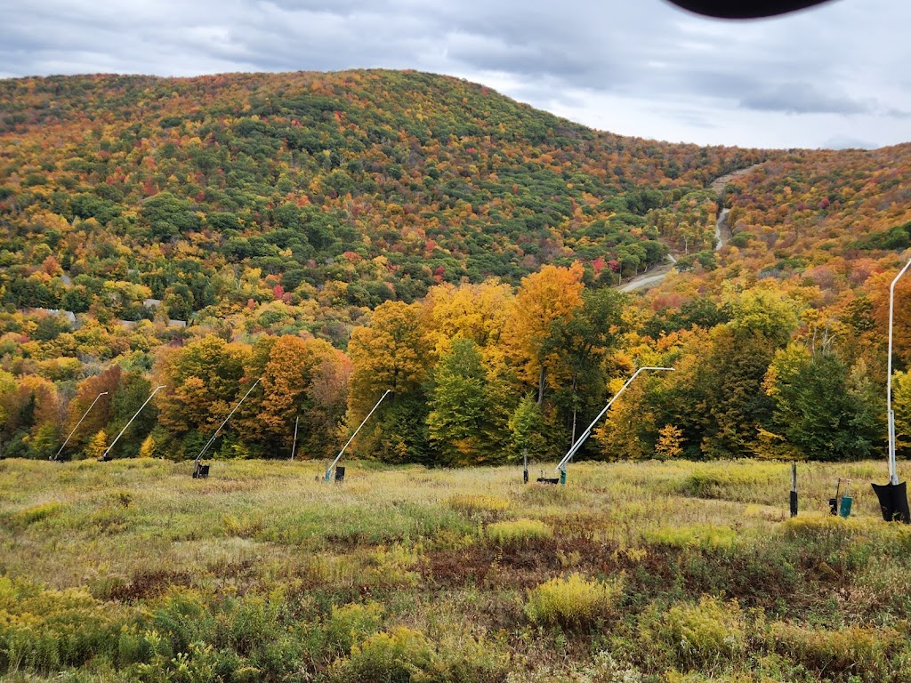 Jiminy Peak Mountain Resort | 37 Corey Rd, Hancock, MA 01237, USA | Phone: (413) 738-5500