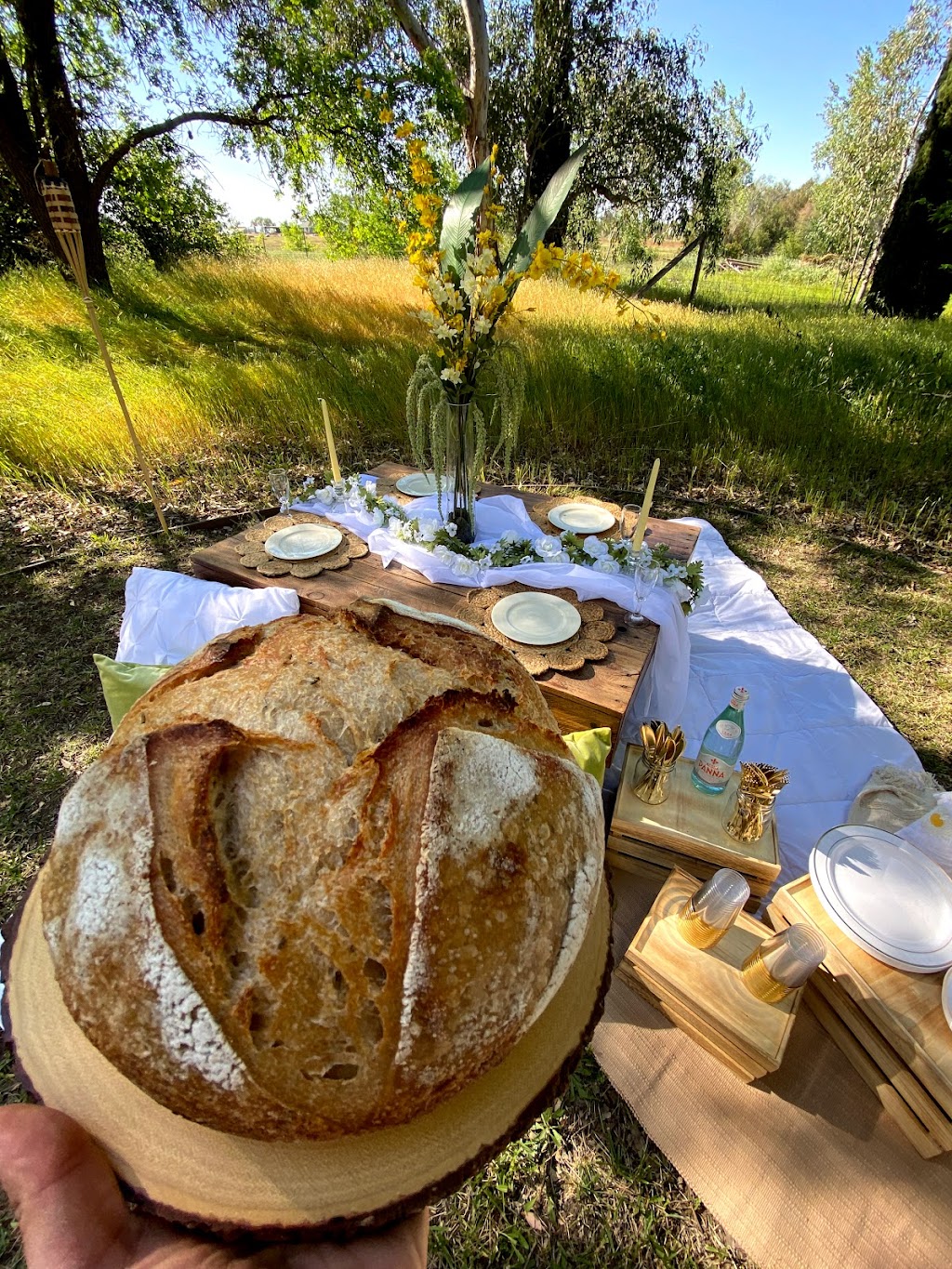 PicnicPerfect, CA | 3673 Mesa Verdes Dr, El Dorado Hills, CA 95762 | Phone: (916) 812-6655