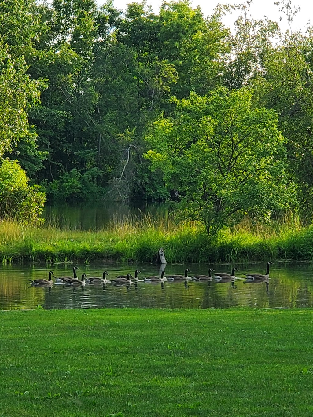 Succop Nature Park | 185 Airport Rd, Butler, PA 16002, USA | Phone: (724) 586-2591