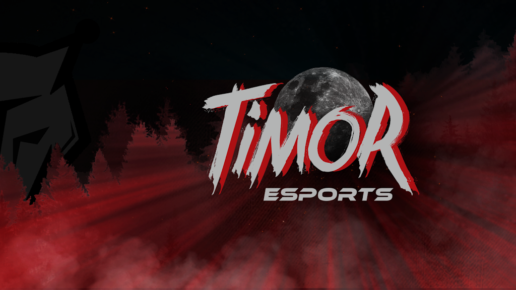 Timor Esports LLC | 7 Bridge St #8, Billerica, MA 01821, USA | Phone: (978) 604-2707