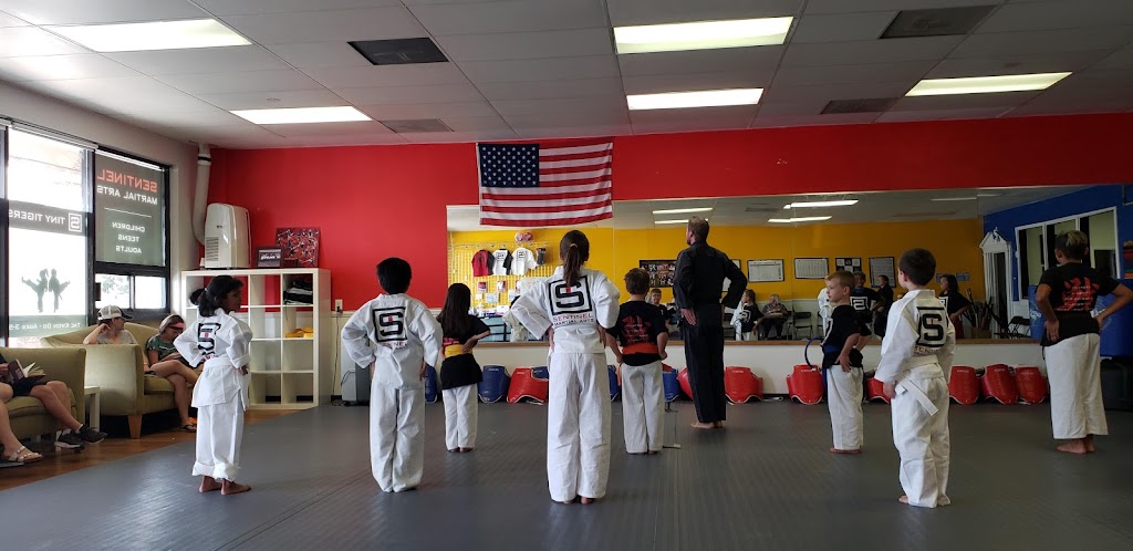 Sentinel Martial Arts | 1902 W Pioneer Pkwy #106, Arlington, TX 76013, USA | Phone: (817) 584-2527