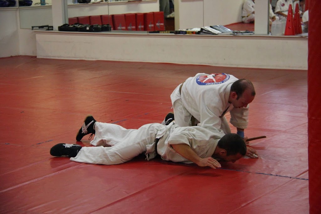 Metro West Academy of Jiu-Jitsu | 19 Willow St, Natick, MA 01760, USA | Phone: (508) 315-3251
