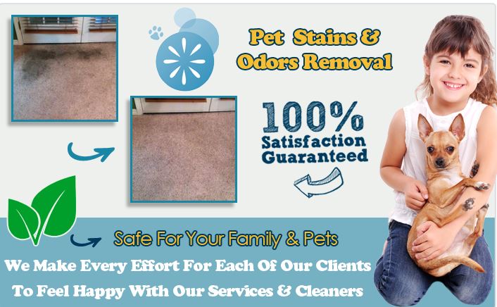 Carpet Cleaning Arlington City | 1615 W Abram St, Arlington, TX 76013, USA | Phone: (682) 253-4614