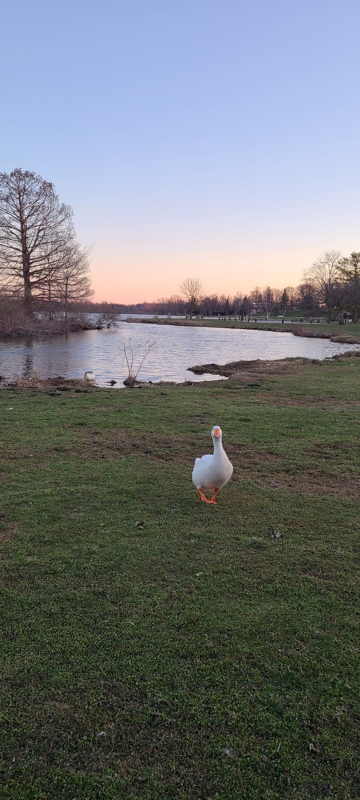 Bixler Lake Campground | 1650 Lake Park Dr, Kendallville, IN 46755, USA | Phone: (260) 242-6898