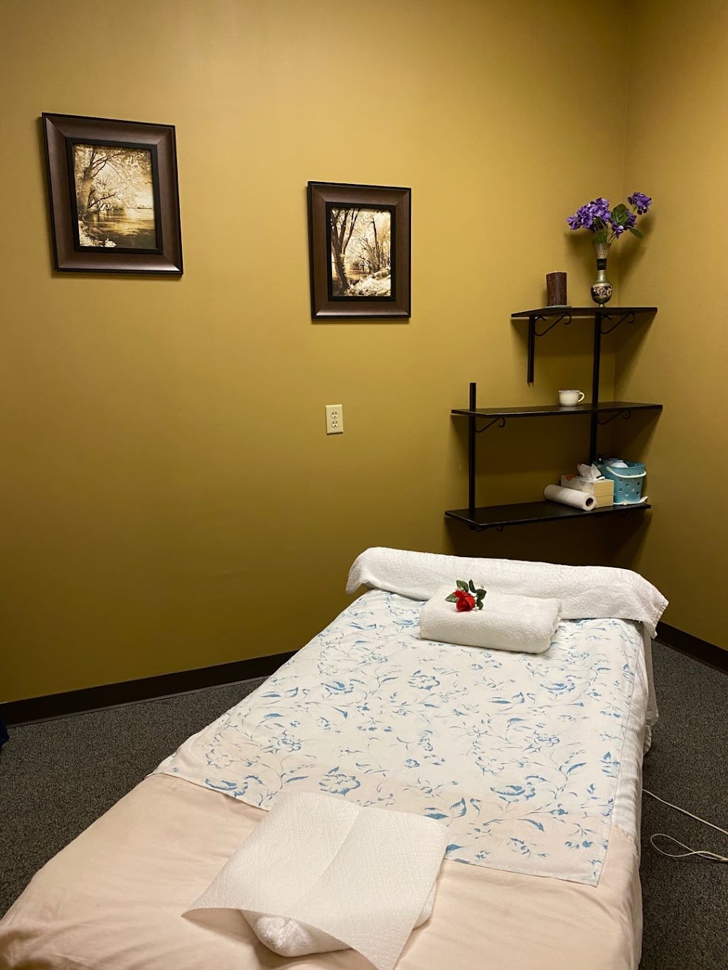 Relax Zone Massage Toledo In 7416 Central Ave Toledo Oh 43617 Usa