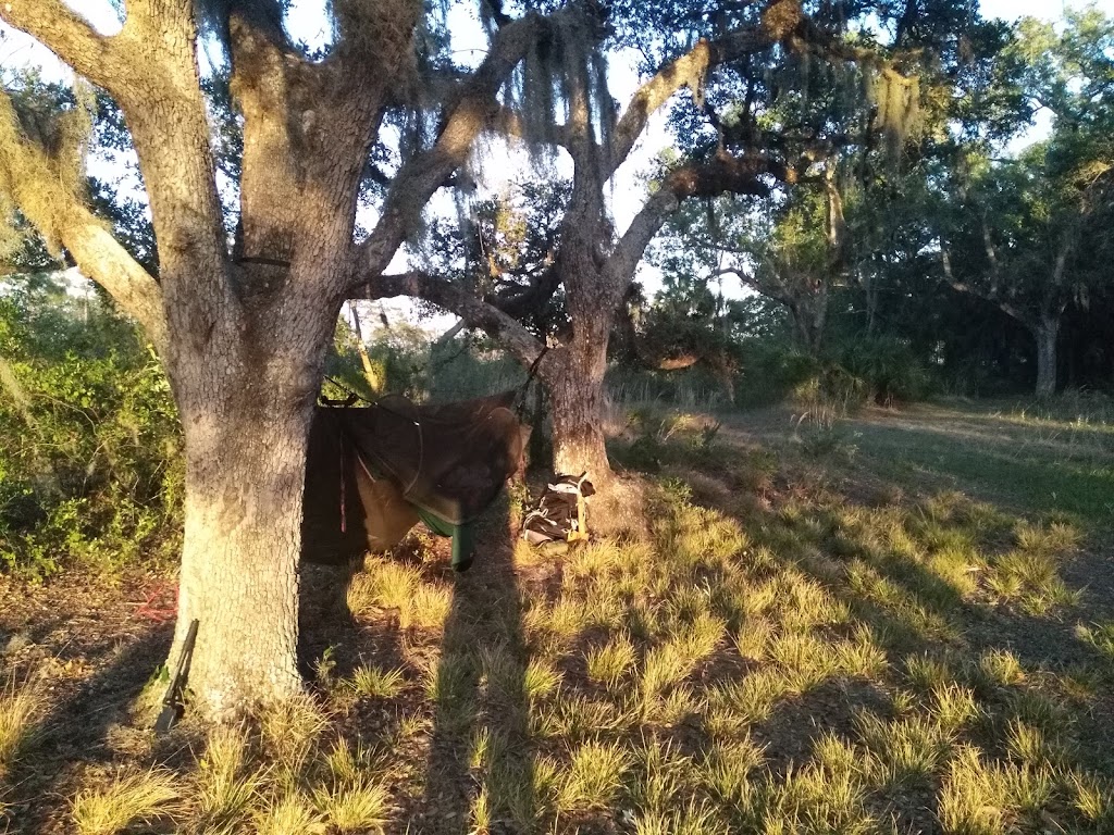 Bee Island Primitive Campsite | Myakka City, FL 34251, USA | Phone: (941) 361-6511