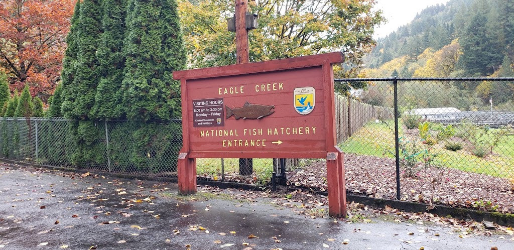 Eagle Creek National Fish Hatchery Visitor Center | 34288 SE Rainbow Rd, Estacada, OR 97023, USA | Phone: (503) 630-6270