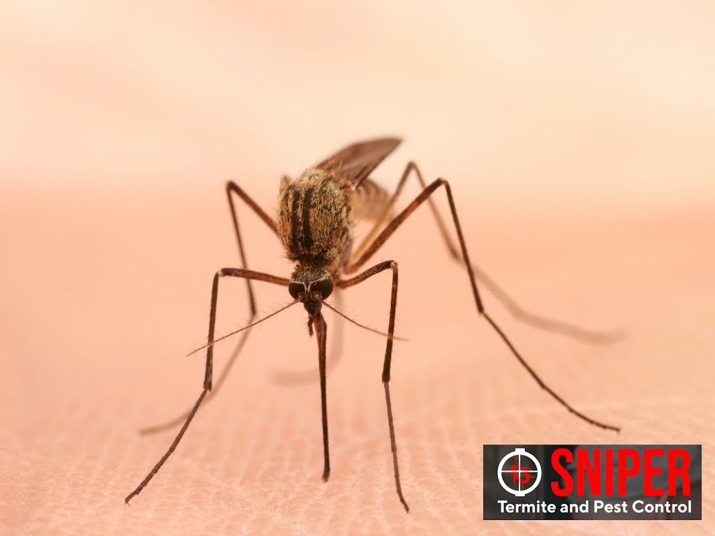 Sniper Termite and Pest Control Fort Worth | 1060 Cotton Depot Ln #642, Fort Worth, TX 76102, USA | Phone: (817) 497-8351